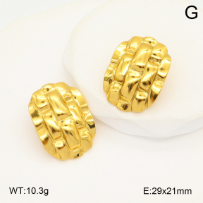 2E2006063aaij-423  Stainless Steel Earrings