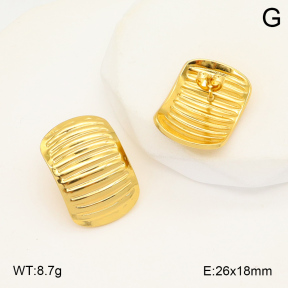 2E2006064aaij-423  Stainless Steel Earrings