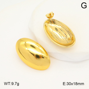 2E2006065aaij-423  Stainless Steel Earrings