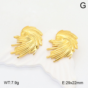 2E2006066aaij-423  Stainless Steel Earrings
