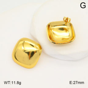 2E2006067aaij-423  Stainless Steel Earrings
