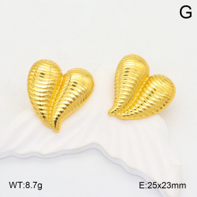 2E2006068aaij-423  Stainless Steel Earrings