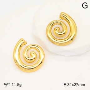 2E2006069aaij-423  Stainless Steel Earrings