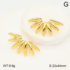 2E2006070aaij-423  Stainless Steel Earrings