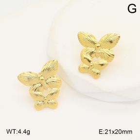 2E2006072aaij-423  Stainless Steel Earrings