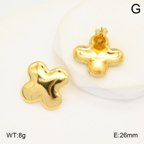 2E2006074aaij-423  Stainless Steel Earrings