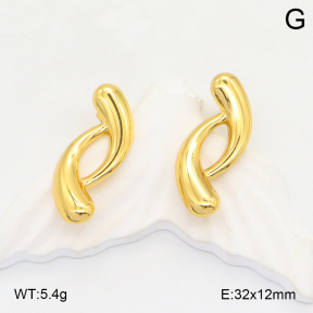 2E2006076aaij-423  Stainless Steel Earrings