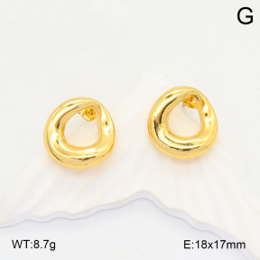 2E2006077aaij-423  Stainless Steel Earrings