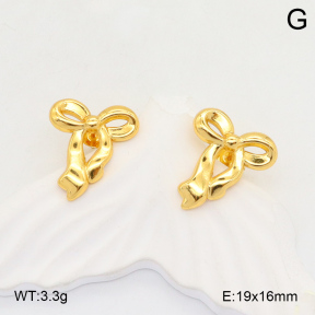 2E2006078aaij-423  Stainless Steel Earrings