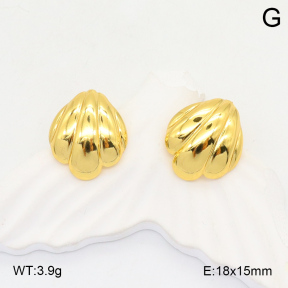 2E2006079aaij-423  Stainless Steel Earrings