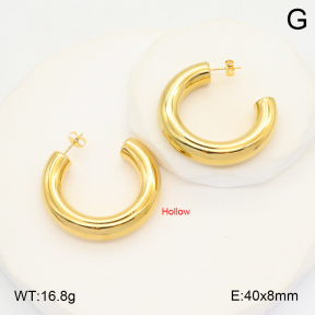 2E2006080vbpb-423  Stainless Steel Earrings