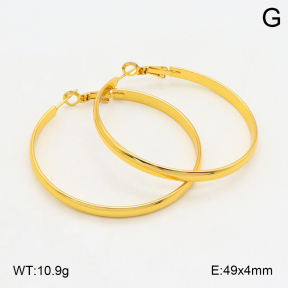 2E2006083avja-423  Stainless Steel Earrings