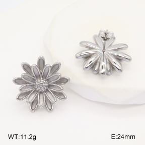 2E2006090vbll-436  Stainless Steel Earrings