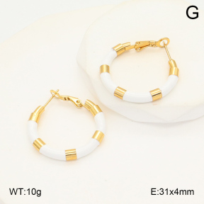 2E3003486ablb-423  Stainless Steel Earrings