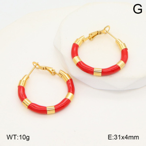 2E3003487ablb-423  Stainless Steel Earrings