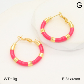 2E3003488ablb-423  Stainless Steel Earrings