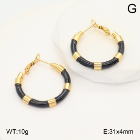 2E3003490ablb-423  Stainless Steel Earrings
