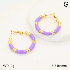 2E3003491ablb-423  Stainless Steel Earrings