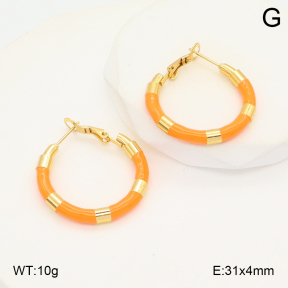 2E3003492ablb-423  Stainless Steel Earrings