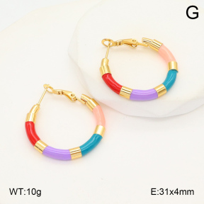 2E3003493vbmb-423  Stainless Steel Earrings