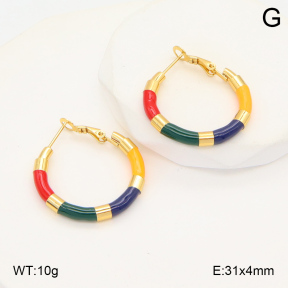 2E3003494vbnb-423  Stainless Steel Earrings