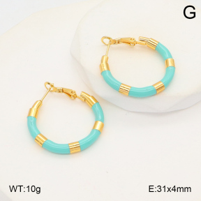 2E3003495ablb-423  Stainless Steel Earrings
