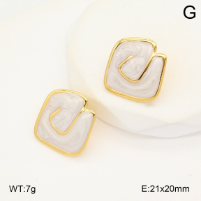 2E3003525avja-423  Stainless Steel Earrings