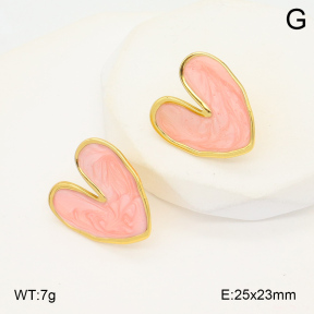 2E3003528avja-423  Stainless Steel Earrings