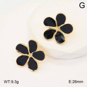 2E3003533avja-423  Stainless Steel Earrings