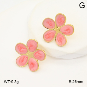 2E3003534avja-423  Stainless Steel Earrings