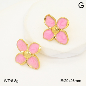 2E3003536avja-423  Stainless Steel Earrings