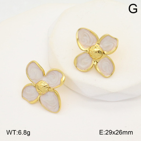2E3003537avja-423  Stainless Steel Earrings