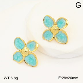 2E3003538avja-423  Stainless Steel Earrings