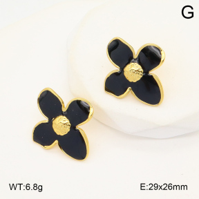 2E3003540avja-423  Stainless Steel Earrings