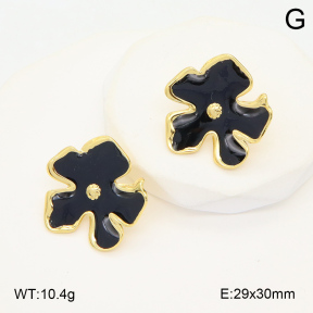 2E3003541avja-423  Stainless Steel Earrings