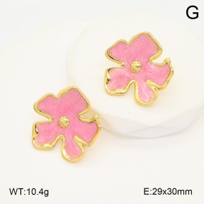 2E3003542avja-423  Stainless Steel Earrings