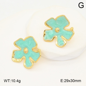 2E3003544avja-423  Stainless Steel Earrings