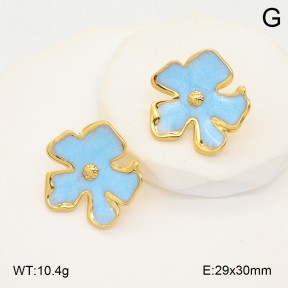 2E3003545avja-423  Stainless Steel Earrings