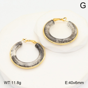 2E4004387ablb-423  Stainless Steel Earrings