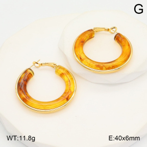 2E4004388ablb-423  Stainless Steel Earrings