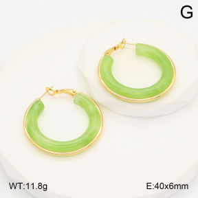 2E4004389ablb-423  Stainless Steel Earrings