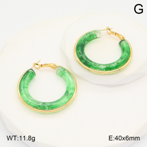 2E4004390ablb-423  Stainless Steel Earrings