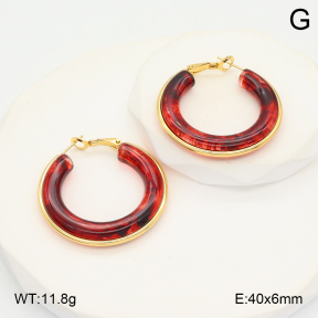 2E4004391ablb-423  Stainless Steel Earrings
