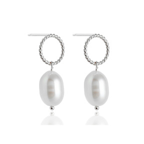 JE8253bibp-Y10  925 Silver Earrings  WT:2.82g  25*8mm  EH1691