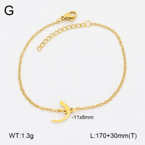 2B2004245aaij-355  Stainless Steel Bracelet