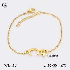 2B2004251aaij-355  Stainless Steel Bracelet