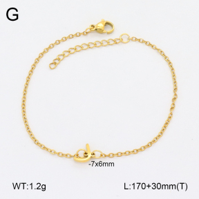 2B2004253aaij-355  Stainless Steel Bracelet