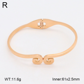 2BA202102bbov-317  Stainless Steel Bangle