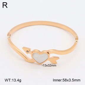 2BA300481bbov-317  Stainless Steel Bangle