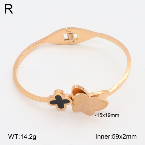 2BA402293bbov-317  Stainless Steel Bangle